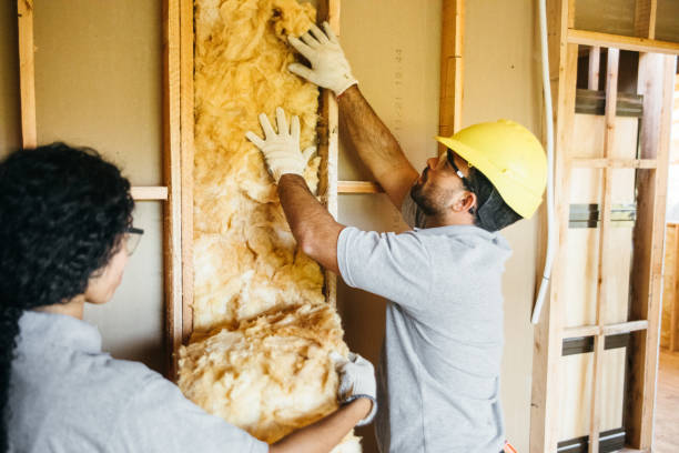 Insulation Inspection Services in Ravenna, OH